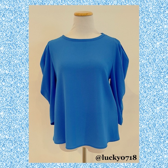 Vici EUC Kingston Statement Sleeve Top in Blue Sz S - Picture 4 of 8